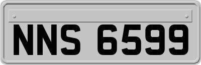 NNS6599