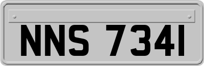 NNS7341