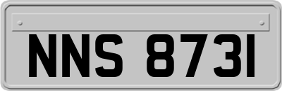 NNS8731
