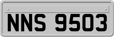 NNS9503