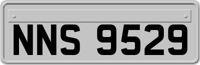 NNS9529