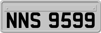 NNS9599