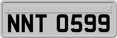 NNT0599