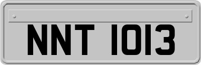 NNT1013