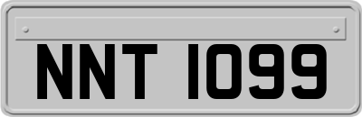 NNT1099