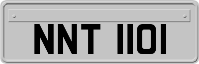 NNT1101