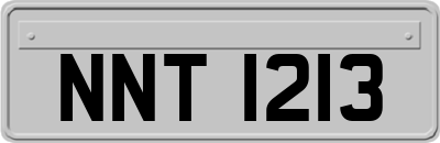 NNT1213