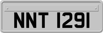 NNT1291