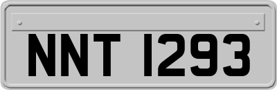 NNT1293