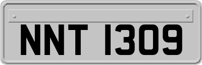 NNT1309