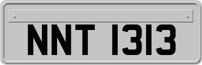 NNT1313