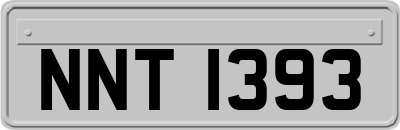 NNT1393