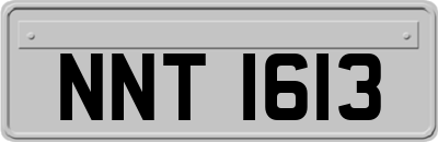 NNT1613