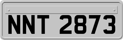 NNT2873