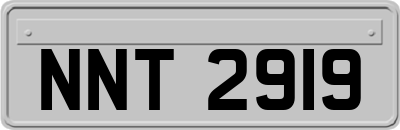NNT2919