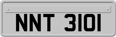 NNT3101