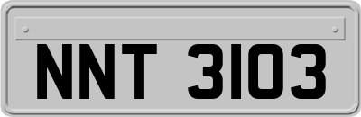 NNT3103