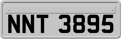 NNT3895