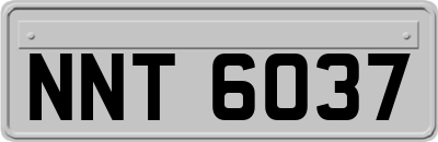 NNT6037