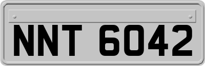 NNT6042