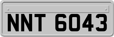 NNT6043