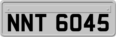 NNT6045