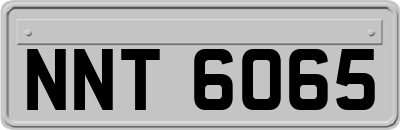 NNT6065