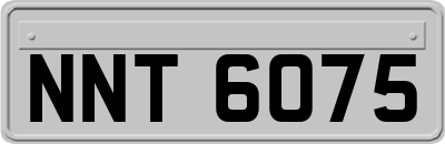 NNT6075