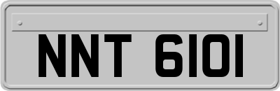 NNT6101
