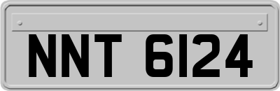 NNT6124