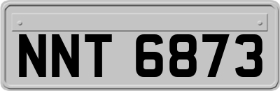 NNT6873