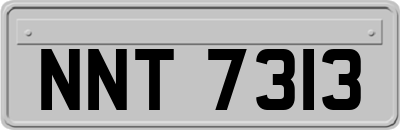 NNT7313