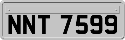 NNT7599