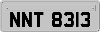NNT8313