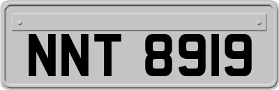 NNT8919
