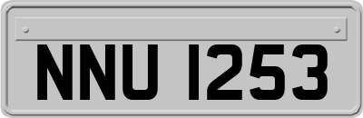 NNU1253