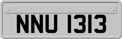 NNU1313