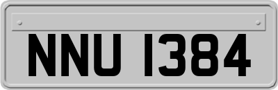 NNU1384