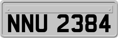 NNU2384