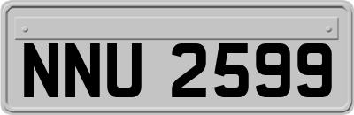 NNU2599