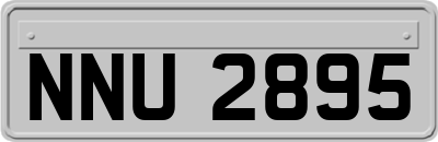 NNU2895