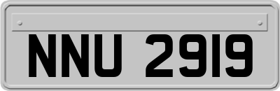 NNU2919
