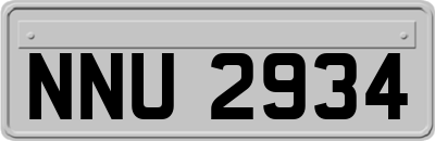 NNU2934
