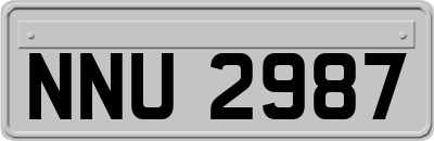 NNU2987