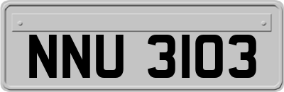 NNU3103