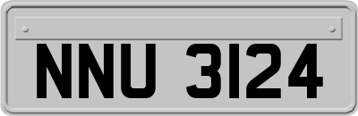 NNU3124