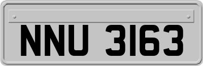 NNU3163