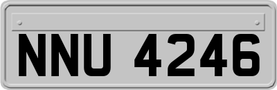 NNU4246