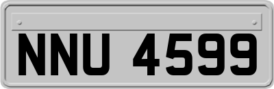 NNU4599