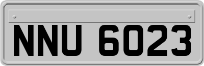 NNU6023